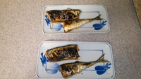 さんま！！！