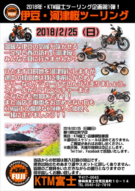 河津桜ツーリング＆390DUKEが引き続きお得！！おっきーです。