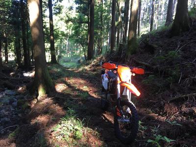 おバイク充実な日々。おっきーです。