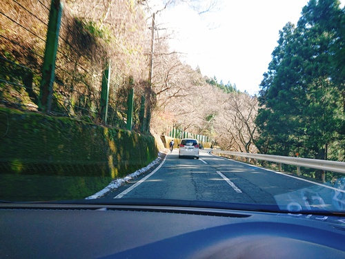 天城越えは雪が降りました！
