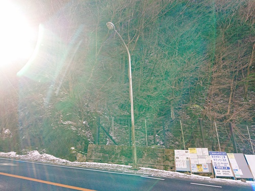 天城越えは雪が降りました！