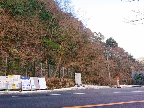 天城越えは雪が降りました！
