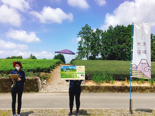 ㈱伊藤園の大淵笹場・茶園環境保全支援活動に参加しました！