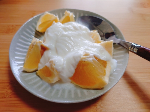 オレンジ色のニューサマーオレンジ！