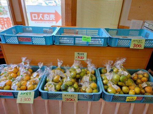 河津産早生みかん由良は、あっという間に完売でした！