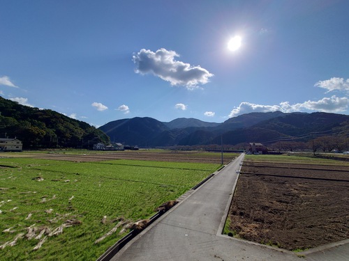 松崎・田んぼをつかった花畑！種まきイベントに参加しました！