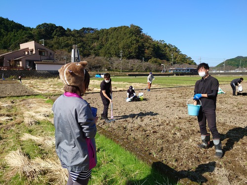 松崎・田んぼをつかった花畑！種まきイベントに参加しました！