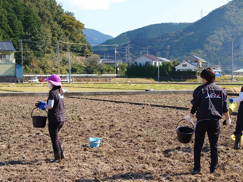 松崎・田んぼをつかった花畑！種まきイベントに参加しました！