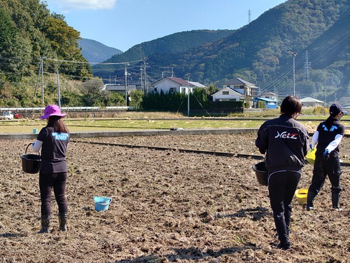 松崎・田んぼをつかった花畑！種まきイベントに参加しました！