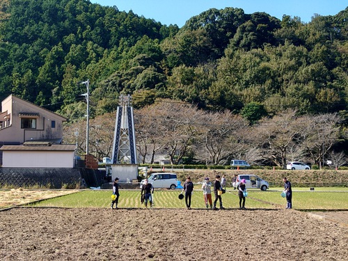 松崎・田んぼをつかった花畑！種まきイベントに参加しました！