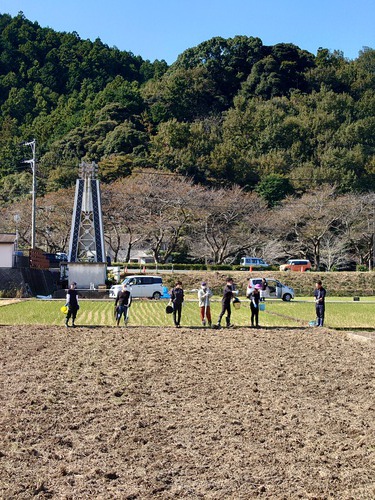 松崎・田んぼをつかった花畑！種まきイベントに参加しました！