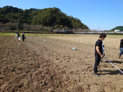 松崎・田んぼをつかった花畑！種まきイベントに参加しました！