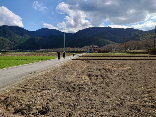 松崎・田んぼをつかった花畑！種まきイベントに参加しました！
