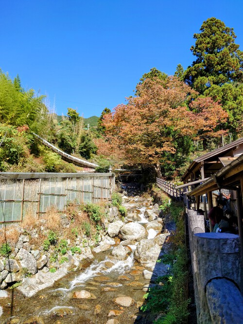 紅葉の有東木のわさび田と清流！