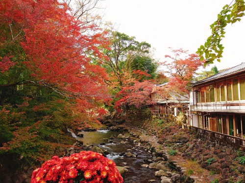 紅葉の修善寺温泉街を歩きました！