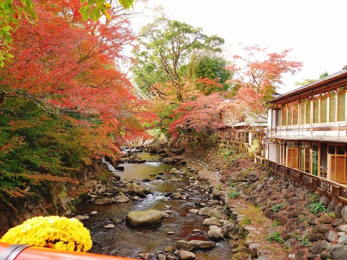 紅葉の修善寺温泉街を歩きました！