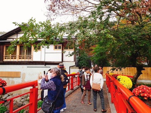 紅葉の修善寺温泉街を歩きました！