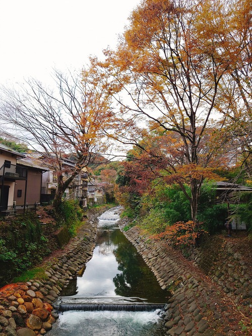 紅葉の修善寺温泉街を歩きました！