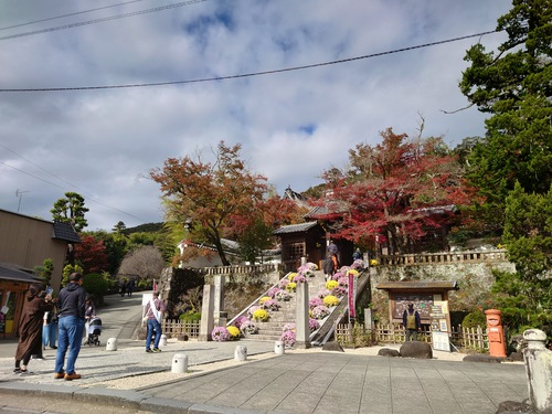 紅葉の修善寺温泉街を歩きました！