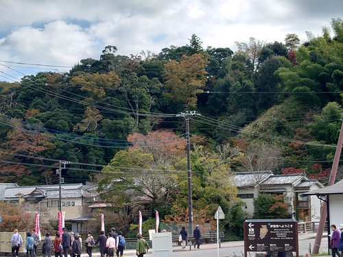 紅葉の修善寺温泉街を歩きました！