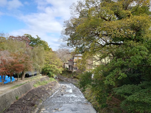 紅葉の修善寺温泉街を歩きました！