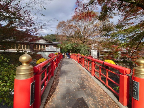 紅葉の修善寺温泉街を歩きました！