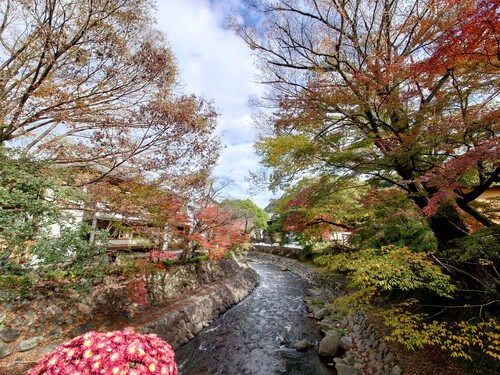紅葉の修善寺温泉街を歩きました！