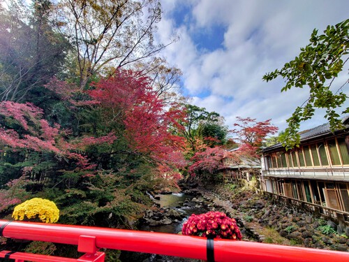 紅葉の修善寺温泉街を歩きました！