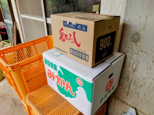 紅甘夏・ニューサマーオレンジの収穫・継続中！