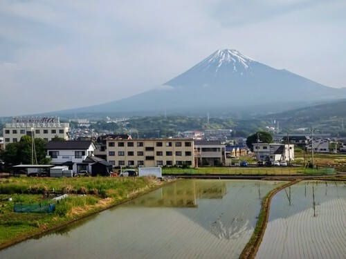今朝も新幹線からの逆さ富士！
