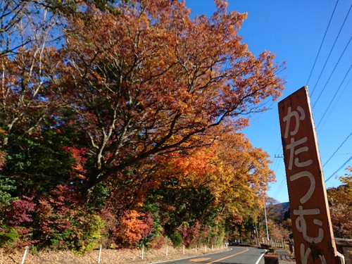 天城路の紅葉狩り～♪