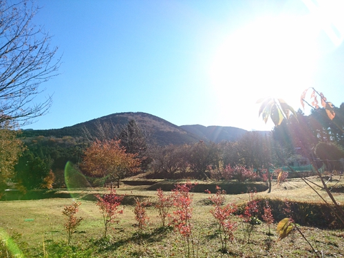 天城路の紅葉狩り～♪