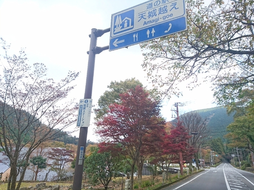 伊豆天城路の紅葉〜☆