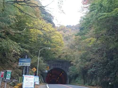 伊豆天城路の紅葉〜☆