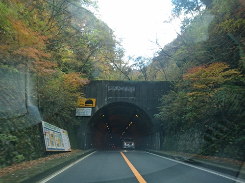 紅葉本番の天城路！