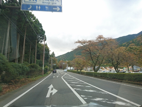 伊豆天城路の紅葉〜☆