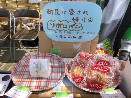 田んぼを使った花畑@松崎町〜♪