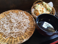 もりそば、かき揚げ〜天茶屋・伊東