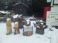 初雪