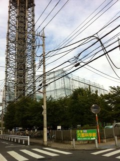 テンガロン