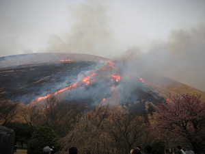 大室山山焼き！