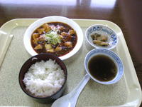 麻婆豆腐定食　天恵