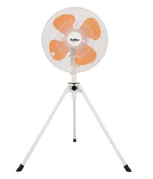 ファン！ファン！Fan !!!!!!