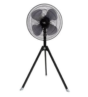 ファン！ファン！Fan !!!!!!