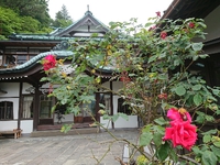 国登録有形文化財の正面玄関前にバラが咲いております　箱根小涌谷温泉三河屋旅館