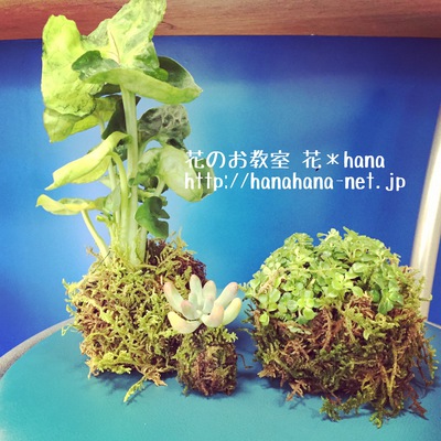 お知らせ：「わくわくパークフェスタ中止！」沼津市