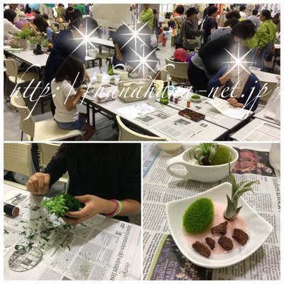 イベント報告：「春のみどりまつり」沼津市