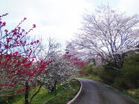 洋風公園（４月１４日）