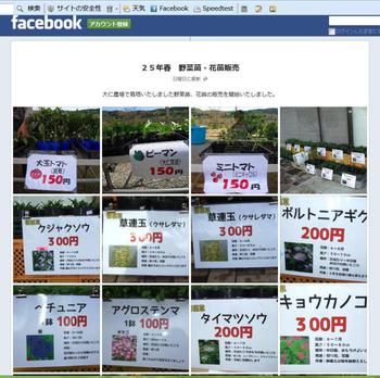 野菜苗について
