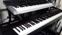 教室にニューフェイスの楽器が仲間入りしました～♪